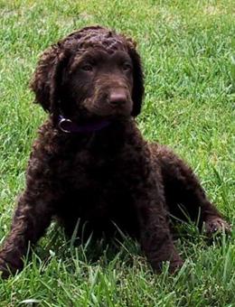 20221114235531_21715 20221114235531_21715