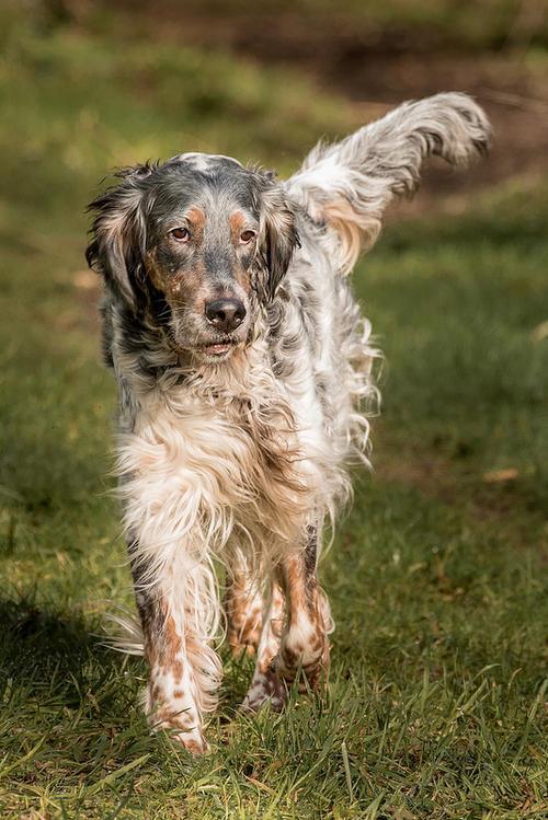 20221114235532_59323 20221114235532_59323