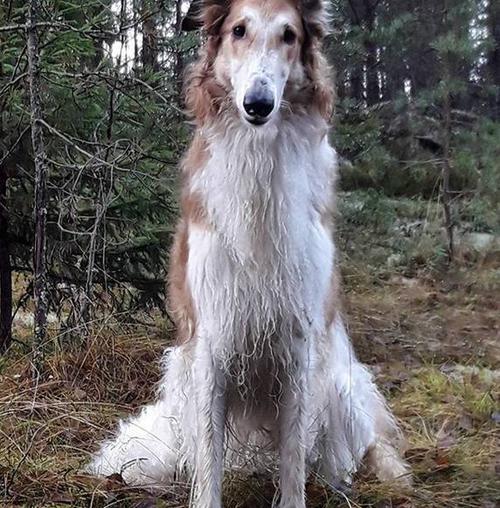 20221115083255_96807