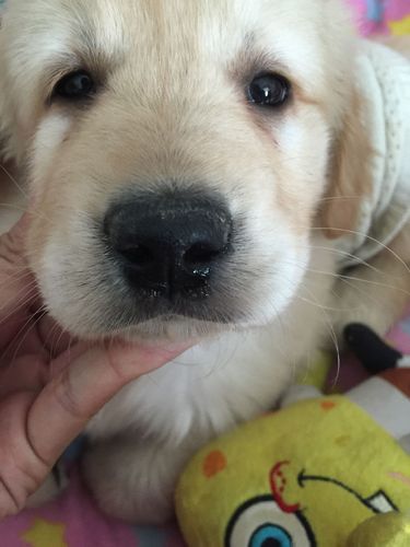 20221115083913_42255