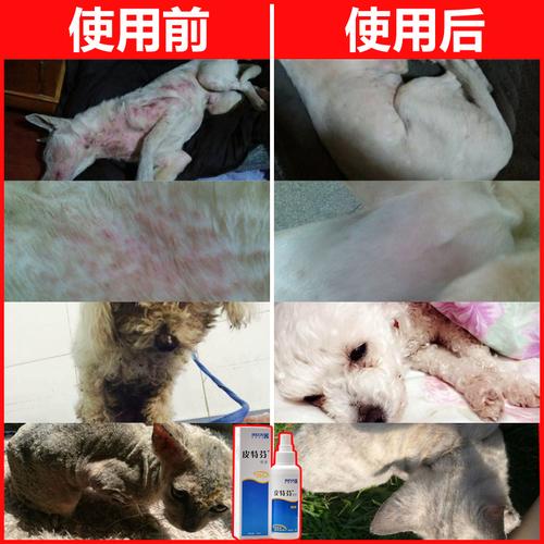 20221115084256_56726