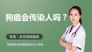 如何预防狗真菌传染人(如何防止真菌传染)-警犬训练器材厂家 _警犬训练用品_工作犬训练用品-南京开久警犬装备