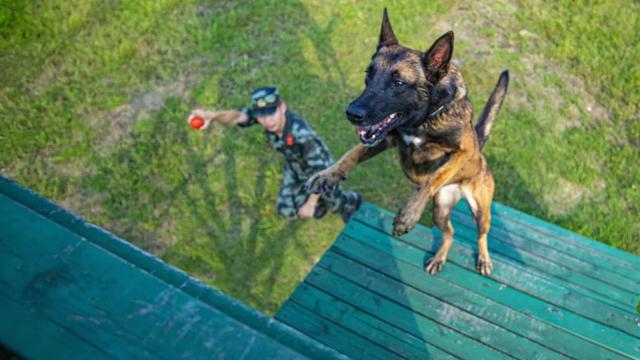 20221115090020_36866