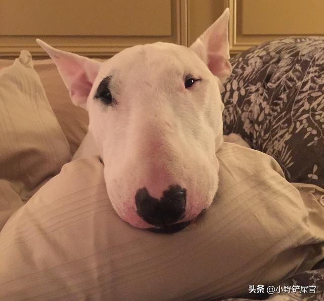 20221115091843_35624