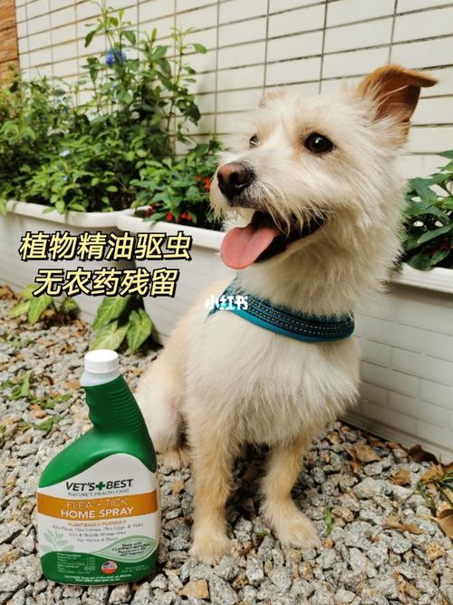 土 *** 狗驱虫(狗狗体外驱虫土方) - 警犬训练器材厂家 _警犬训练用品_工作犬训练用品-南京开久警犬装备-警犬训练器材厂家 _警犬训练用品_工作犬训练用品-南京开久警犬装备