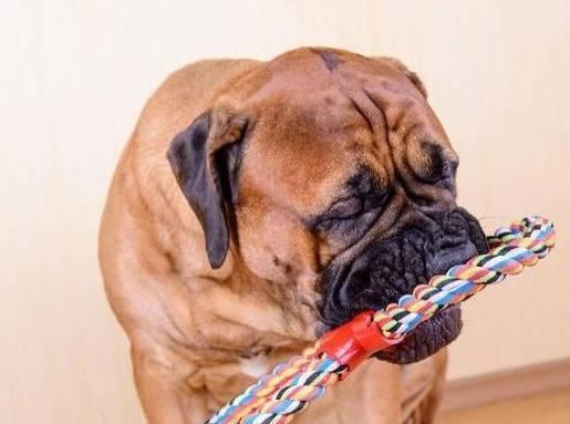 20221115094318_96459 20221115094318_96459