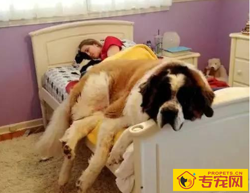 20221115100057_16324