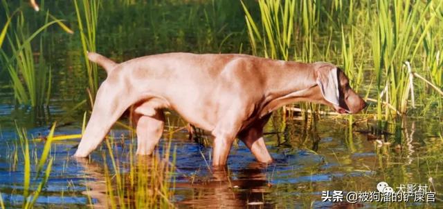 20221115101312_55894