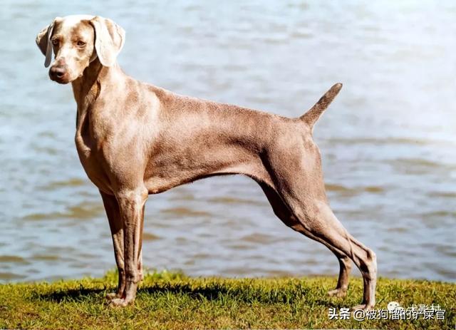 20221115101312_96655