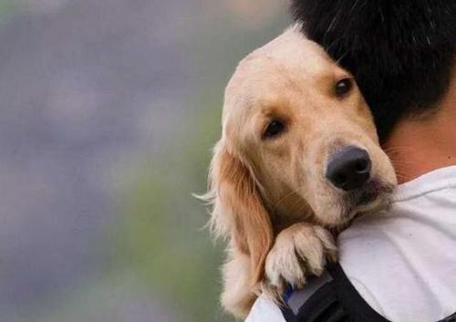 20221115101805_16262 20221115101805_16262