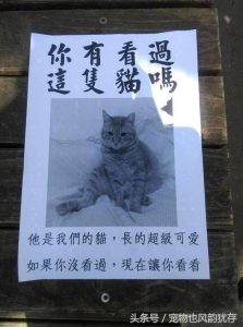 寻狗主人启事怎么写范文?招领启事寻狗主人-警犬训练器材厂家 _警犬训练用品_工作犬训练用品-南京开久警犬装备