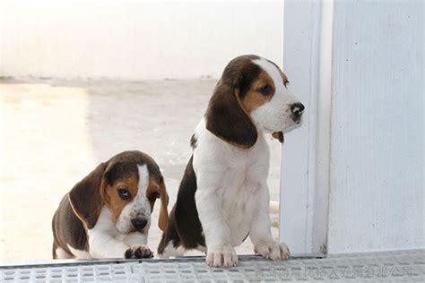 20221115105144_92306