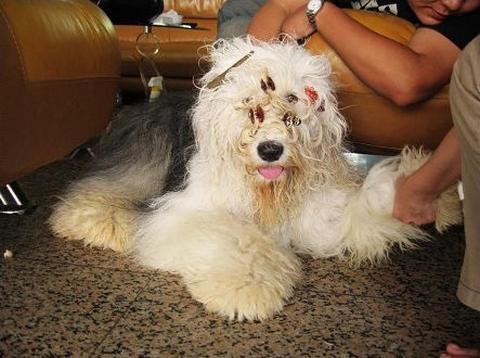 20221115110508_68449