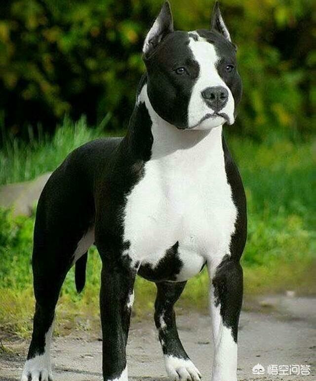 20221115111614_51143 20221115111614_51143