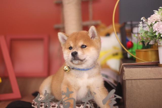 20221115114903_89633