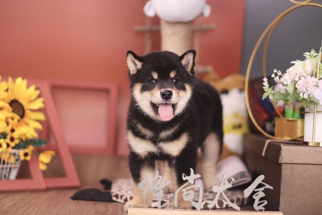 20221115114905_30301