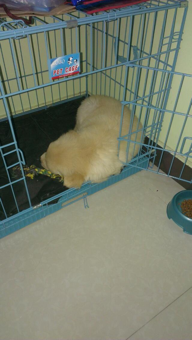 20221115115048_75427 20221115115048_75427