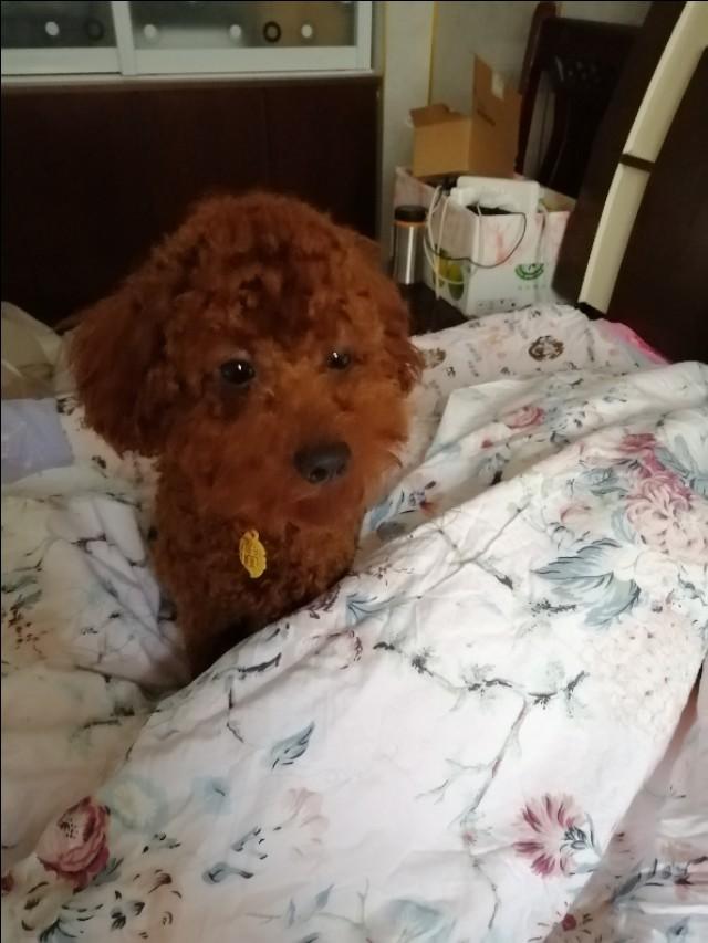 20221115120145_62933