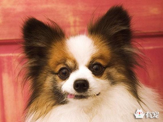 20221115122950_18195 20221115122950_18195