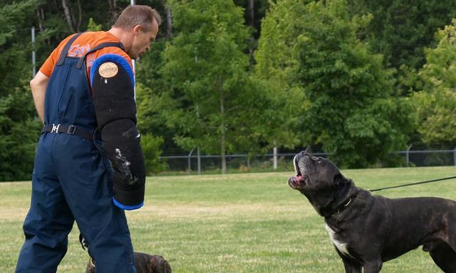 20221115123851_46986