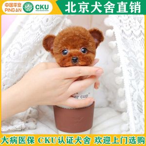 20221115125142_36161 20221115125142_36161