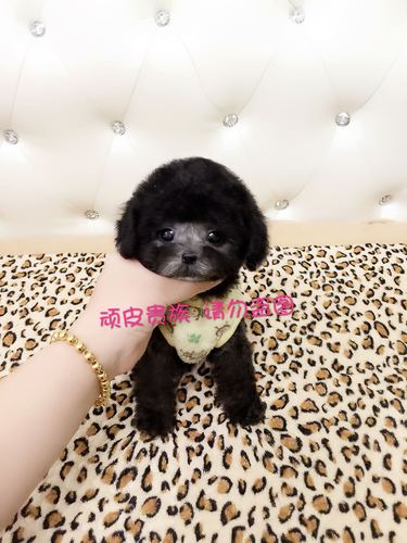 20221115125142_72016 20221115125142_72016