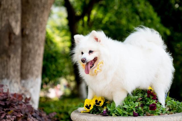 20221115132618_14724