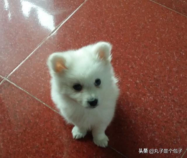 20221115133815_45217