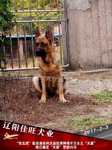 20221115133930_19050