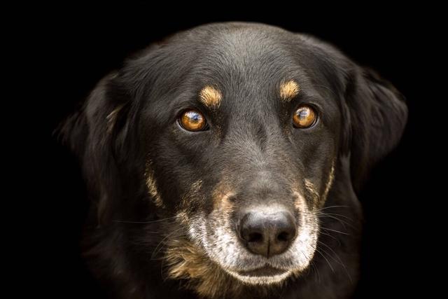 20221115134344_68560 20221115134344_68560