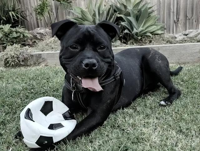 20221115134345_38752 20221115134345_38752