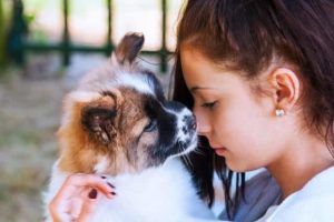 怎么训练小狗罚站(两个月小狗怎么训练)-警犬训练器材厂家 _警犬训练用品_工作犬训练用品-南京开久警犬装备