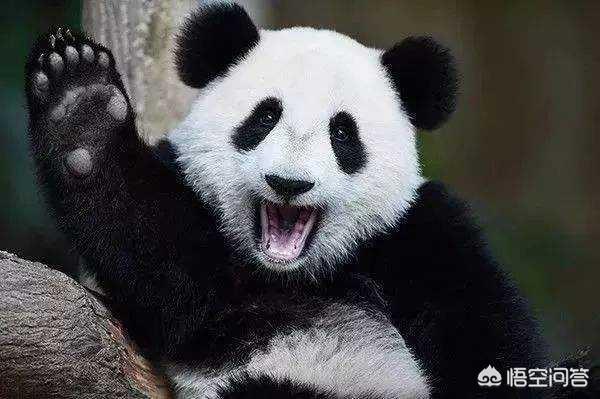 20221115135229_89713 20221115135229_89713