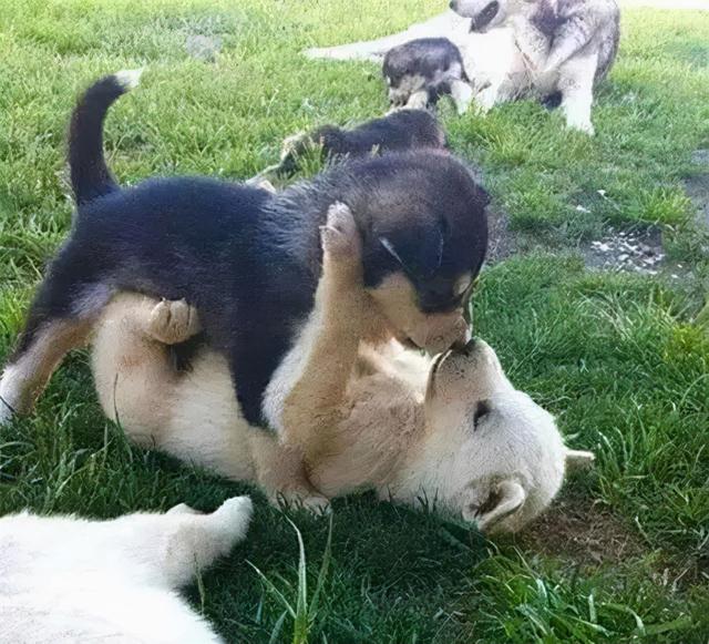 20221115135558_62218