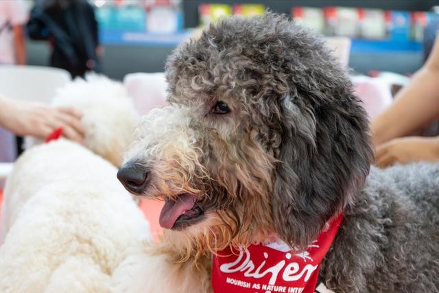 20221115154415_85525