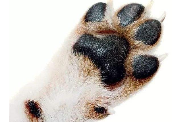 20221115154750_28936