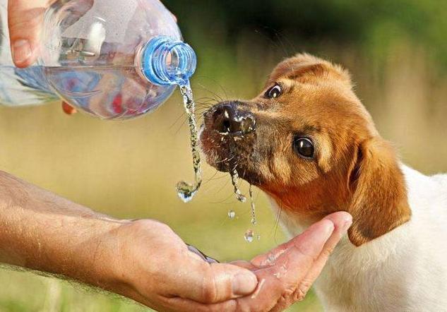 20221115154750_83613