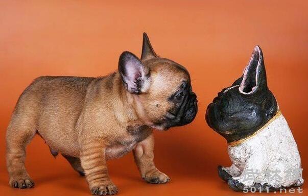 20221115160053_66344 20221115160053_66344