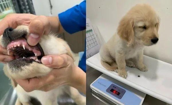 20221115160156_77773 20221115160156_77773