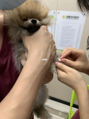 20221115160156_90769 20221115160156_90769