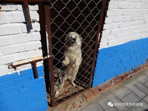 20221115161206_14801