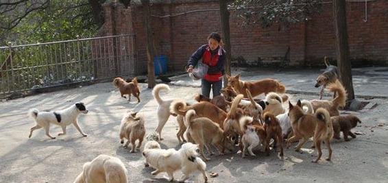 20221115161206_73943