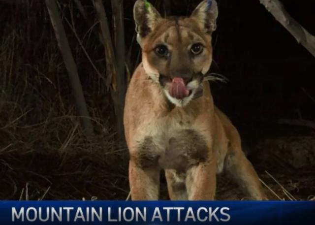 20221115170009_17098