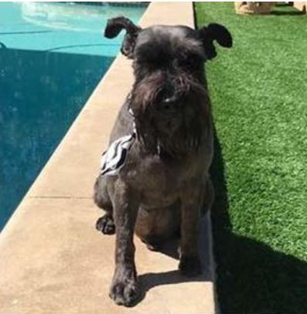 20221115170009_49523