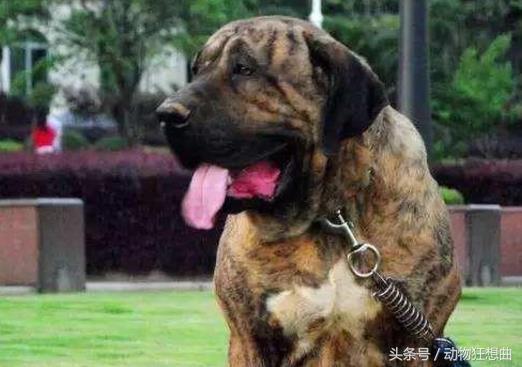 20221115173301_61589