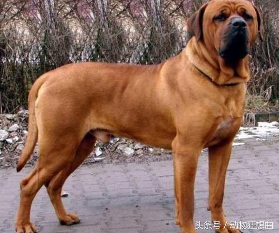 20221115173302_63312