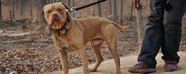 20221115181819_84932 20221115181819_84932