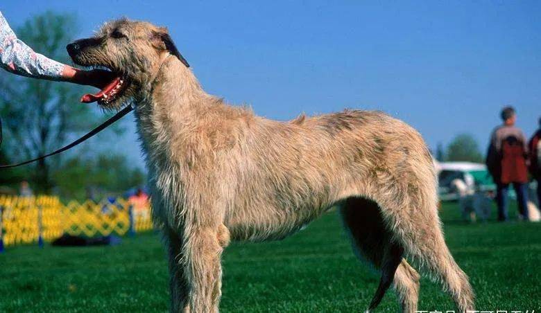 20221115181820_11464 20221115181820_11464