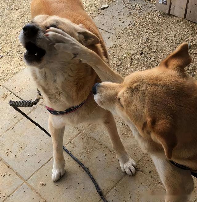 20221115182945_42588