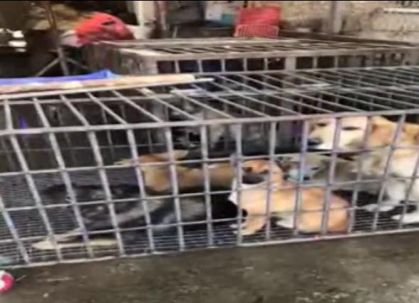 20221115184409_23808 20221115184409_23808